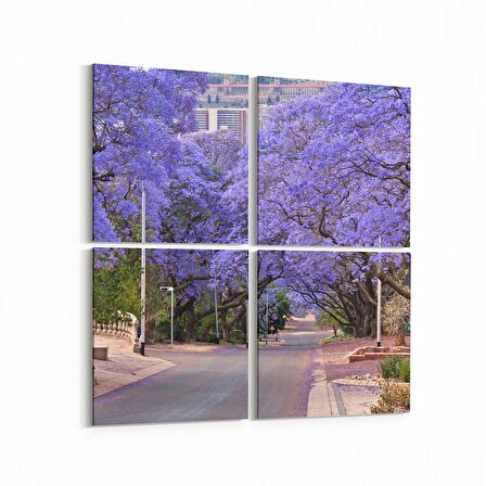 Olla 14312K4 Doğa / Manzara Görseli Kare 4'lü Kanvas Tablo (Ölçü: 105X105)