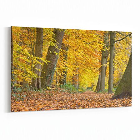 Olla 13540Y Doğa / Manzara Görseli Yatay Kanvas Tablo (Ölçü: 70X50)