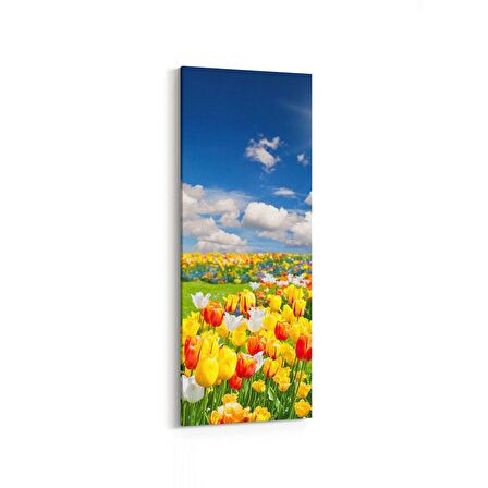 Olla 14519DI Doğa / Manzara Görseli Dikey İnce Kanvas Tablo (Ölçü: 40X120)