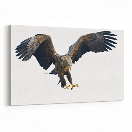 Olla 12502Y Hayvanlar Alemi Görseli Yatay Kanvas Tablo (Ölçü: 30X20)