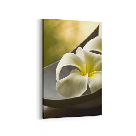 Olla 17068D Spa / Masaj Görseli Dikey Kanvas Tablo (Ölçü: 20X30)