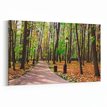 Olla 13549Y Doğa / Manzara Görseli Yatay Kanvas Tablo (Ölçü: 120X80)