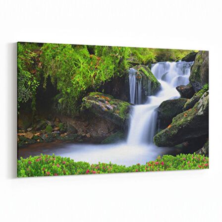 Olla 13775Y Doğa / Manzara Görseli Yatay Kanvas Tablo (Ölçü: 150X100)