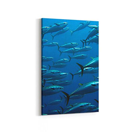 Olla 12866D Deniz / Okyanus Görseli Dikey Kanvas Tablo (Ölçü: 100X150)