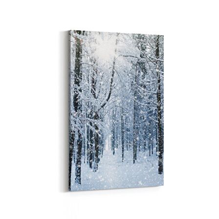 Olla 13342D Doğa / Manzara Görseli Dikey Kanvas Tablo (Ölçü: 100X150)