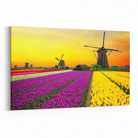 Olla 14060Y Doğa / Manzara Görseli Yatay Kanvas Tablo (Ölçü: 70X50)