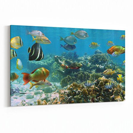 Olla 12071Y Akvaryum / Balık Görseli Yatay Kanvas Tablo (Ölçü: 150X100)