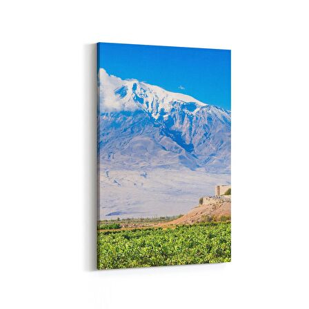 Olla 13989D Doğa / Manzara Görseli Dikey Kanvas Tablo (Ölçü: 60X90)