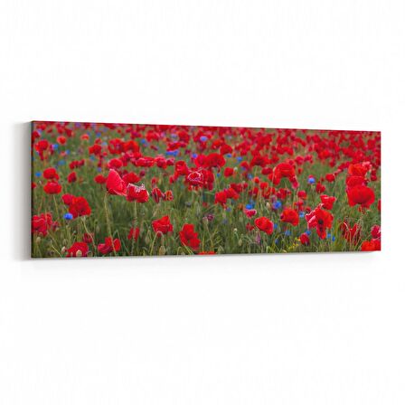 Olla 10986YI Ağaç Görseli Yatay İnce Kanvas Tablo (Ölçü: 90X30)