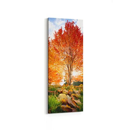 Olla 14247DI Doğa / Manzara Görseli Dikey İnce Kanvas Tablo (Ölçü: 40X120)