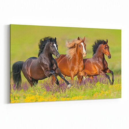 Olla 12640Y Hayvanlar Alemi Görseli Yatay Kanvas Tablo (Ölçü: 30X20)