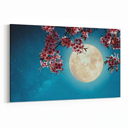 Olla 14636Y Gece Gökyüzü Görseli Yatay Kanvas Tablo (Ölçü: 90X60)