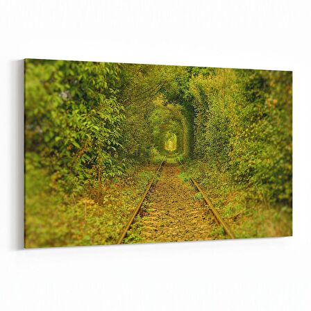 Olla 13903Y Doğa / Manzara Görseli Yatay Kanvas Tablo (Ölçü: 70X50)