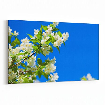 Olla 10920Y Ağaç Görseli Yatay Kanvas Tablo (Ölçü: 45X30)