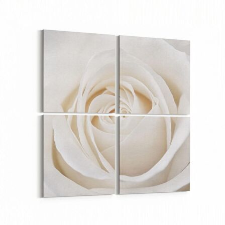 Olla 11641K4 Çiçek Görseli Kare 4'lü Kanvas Tablo (Ölçü: 105X105)