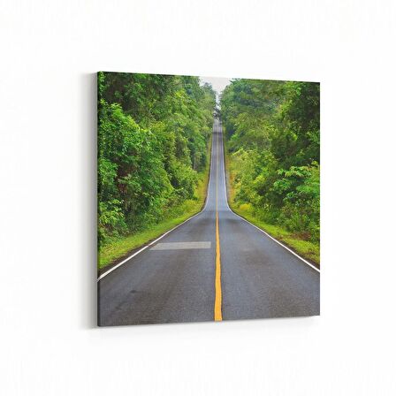 Olla 13267K Doğa / Manzara Görseli Kare Kanvas Tablo (Ölçü: 25X25)