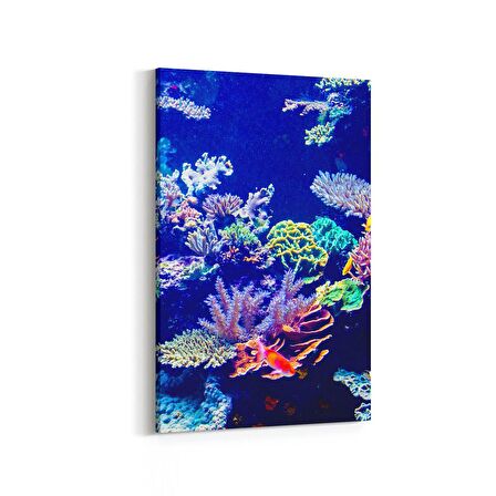 Olla 12119D Akvaryum / Balık Görseli Dikey Kanvas Tablo (Ölçü: 20X30)