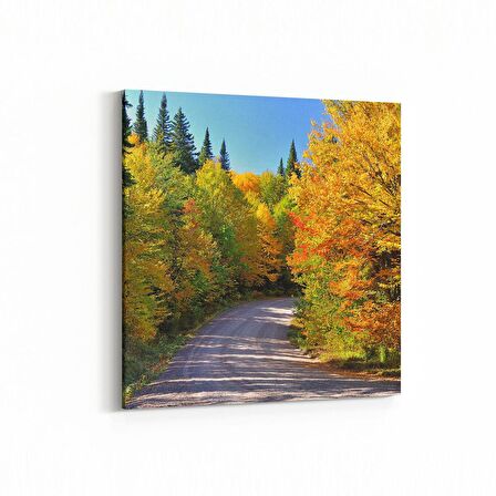 Olla 14015K Doğa / Manzara Görseli Kare Kanvas Tablo (Ölçü: 30X30)