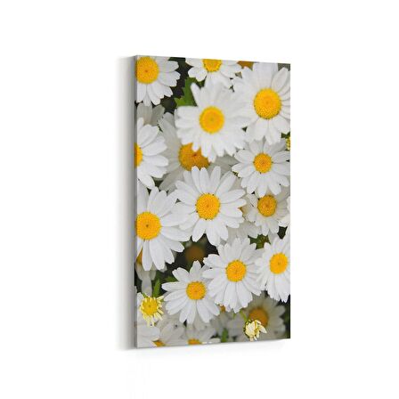 Olla 11630DD Çiçek Görseli Dikey Dar Kanvas Tablo (Ölçü: 30X60)