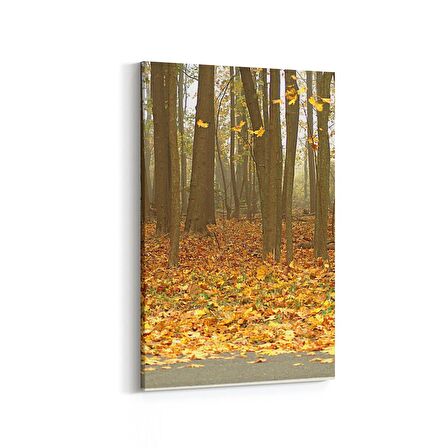 Olla 14449D Doğa / Manzara Görseli Dikey Kanvas Tablo (Ölçü: 40X60)