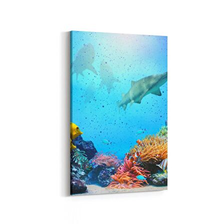 Olla 12089D Akvaryum / Balık Görseli Dikey Kanvas Tablo (Ölçü: 60X90)