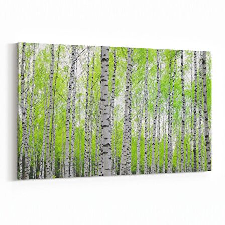 Olla 14526Y Doğa / Manzara Görseli Yatay Kanvas Tablo (Ölçü: 120X80)