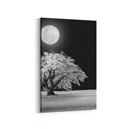 Olla 14475D Doğa / Manzara Görseli Dikey Kanvas Tablo (Ölçü: 60X90)