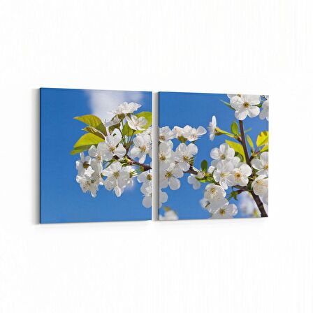 Olla 10678K2Y Ağaç Görseli Kare 2'li Yatay Kanvas Tablo (Ölçü: 125X60)