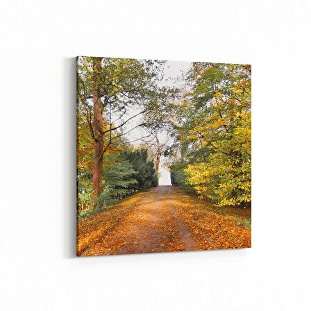 Olla 13273K Doğa / Manzara Görseli Kare Kanvas Tablo (Ölçü: 60X60)