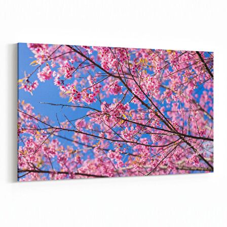 Olla 10823Y Ağaç Görseli Yatay Kanvas Tablo (Ölçü: 150X100)