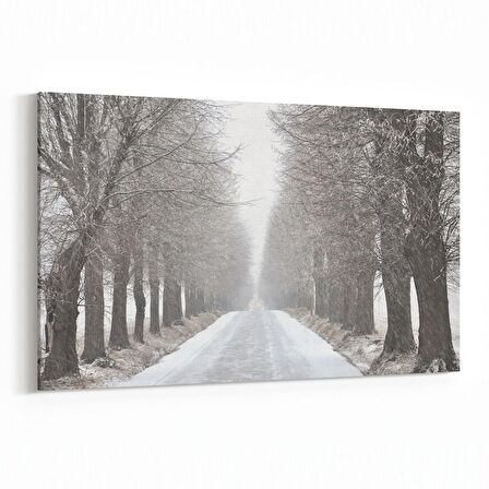 Olla 14403Y Doğa / Manzara Görseli Yatay Kanvas Tablo (Ölçü: 90X60)