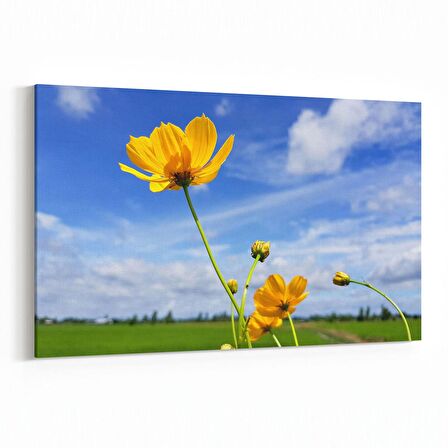 Olla 14392Y Doğa / Manzara Görseli Yatay Kanvas Tablo (Ölçü: 45X30)