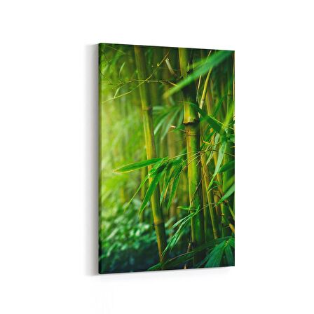 Olla 14617D Doğa / Manzara Görseli Dikey Kanvas Tablo (Ölçü: 60X90)