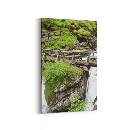 Olla 14623D Doğa / Manzara Görseli Dikey Kanvas Tablo (Ölçü: 60X90)