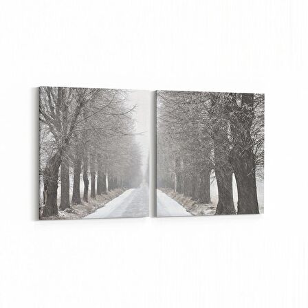 Olla 14403K2Y Doğa / Manzara Görseli Kare 2'li Yatay Kanvas Tablo (Ölçü: 105X50)