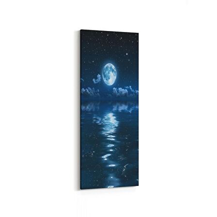 Olla 14682DI Gece Gökyüzü Görseli Dikey İnce Kanvas Tablo (Ölçü: 40X120)