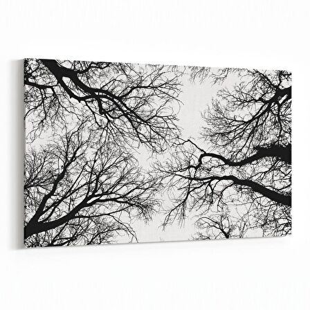 Olla 10555Y Ağaç Görseli Yatay Kanvas Tablo (Ölçü: 70X50)