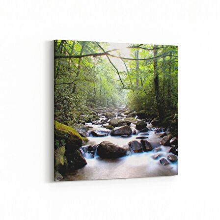 Olla 14033K Doğa / Manzara Görseli Kare Kanvas Tablo (Ölçü: 30X30)