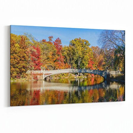 Olla 13624Y Doğa / Manzara Görseli Yatay Kanvas Tablo (Ölçü: 70X50)