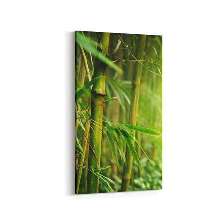 Olla 14620DD Doğa / Manzara Görseli Dikey Dar Kanvas Tablo (Ölçü: 60X120)