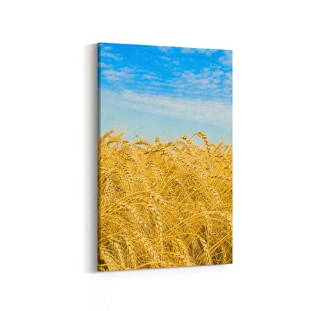 Olla 13799D Doğa / Manzara Görseli Dikey Kanvas Tablo (Ölçü: 60X90)