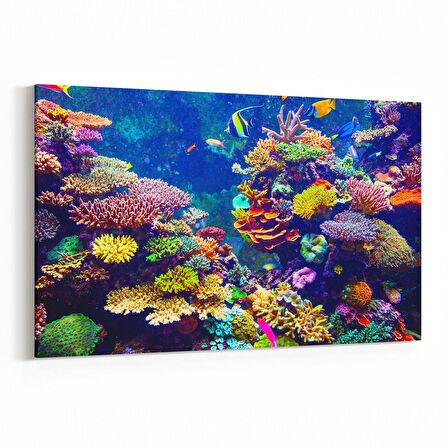Olla 12121Y Akvaryum / Balık Görseli Yatay Kanvas Tablo (Ölçü: 45X30)