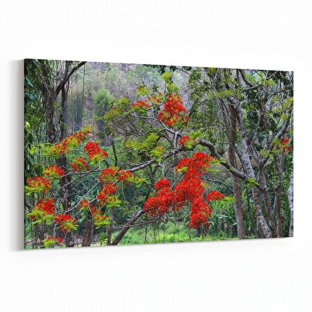 Olla 13446Y Doğa / Manzara Görseli Yatay Kanvas Tablo (Ölçü: 120X80)