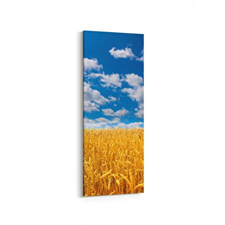 Olla 14105DI Doğa / Manzara Görseli Dikey İnce Kanvas Tablo (Ölçü: 40X120)