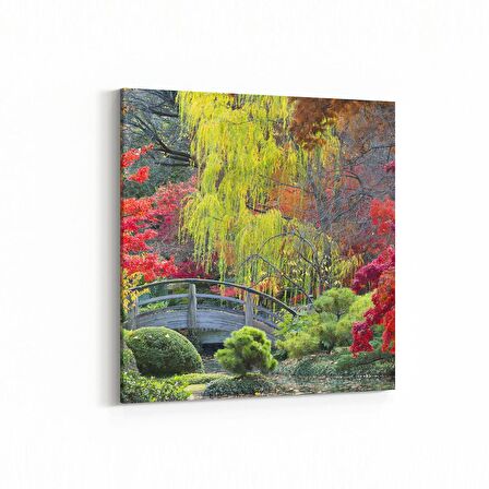 Olla 13615K Doğa / Manzara Görseli Kare Kanvas Tablo (Ölçü: 60X60)