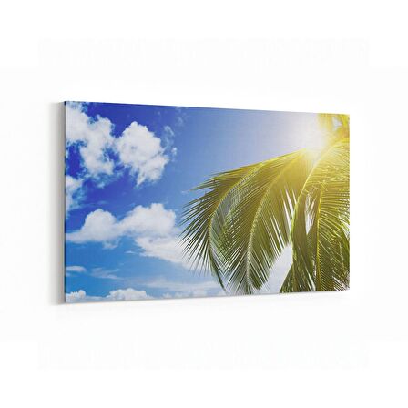Olla 11496Y Palmiye Ağacı Görseli Yatay Kanvas Tablo (Ölçü: 45X30)