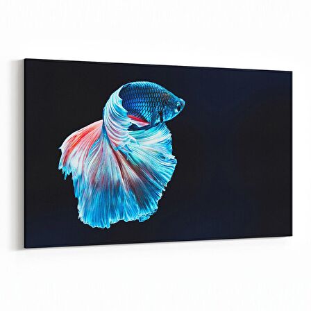 Olla 12668Y Hayvanlar Alemi Görseli Yatay Kanvas Tablo (Ölçü: 45X30)