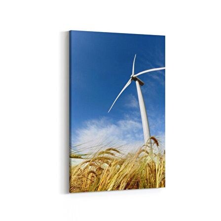 Olla 13922D Doğa / Manzara Görseli Dikey Kanvas Tablo (Ölçü: 60X90)