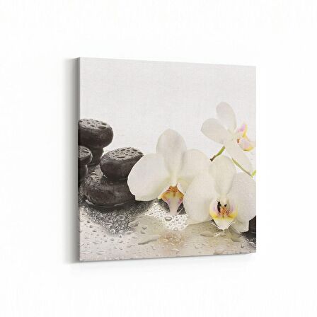 Olla 17042K Spa / Masaj Görseli Kare Kanvas Tablo (Ölçü: 30X30)