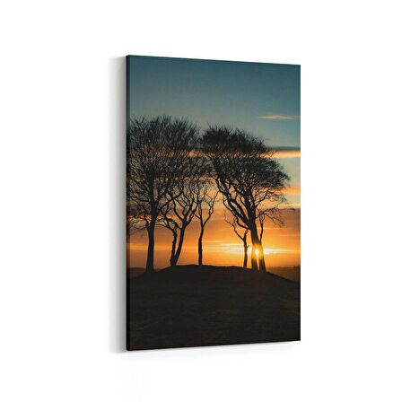 Olla 15896D Günbatımı Görseli Dikey Kanvas Tablo (Ölçü: 100X150)